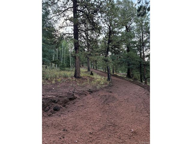 216 Troy Dr, Cripple Creek, CO 80813
