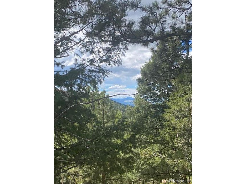 216 Troy Dr, Cripple Creek, CO 80813