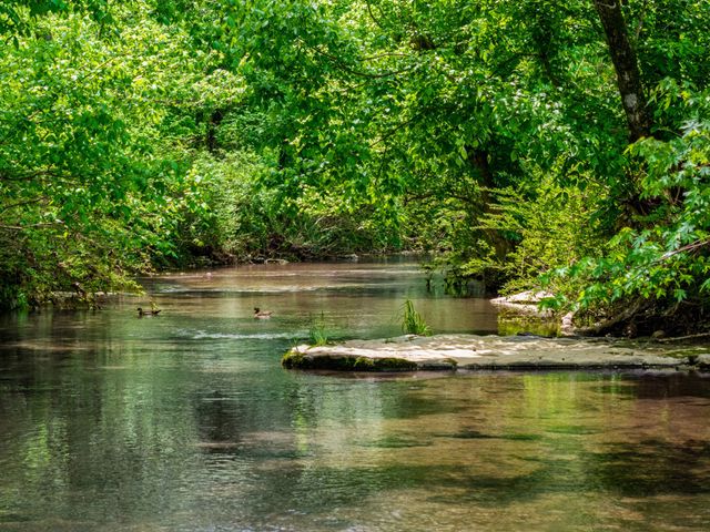 0 Shelbyville Hwy, Fayetteville, TN 37334