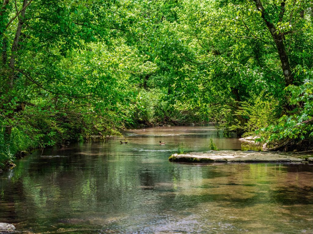 0 Shelbyville Hwy, Fayetteville, TN 37334