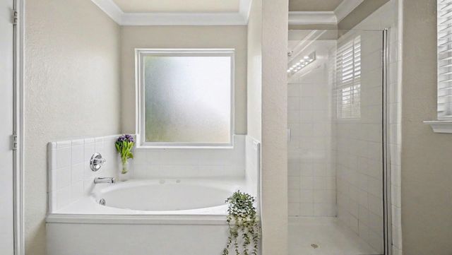 13026 Skyview Bend Drive, Houston, TX 77047