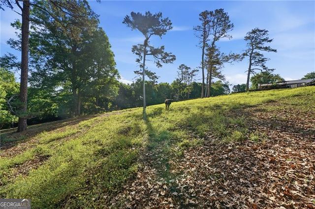 3535 Dr Bramblett Road, Cumming, GA 30028