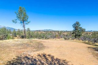 Lower Coal Pit Drive, Igo, CA 96047