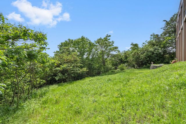 460 Jackson Hollow Road, Galena, MO 65656