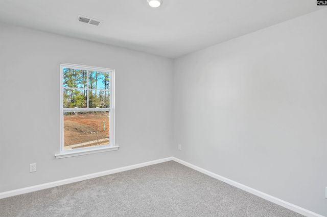 206 Boseman Road, Irmo, SC 29063