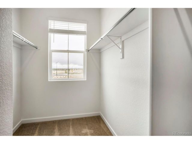 3067 Gladstone Ave, Loveland, CO 80538