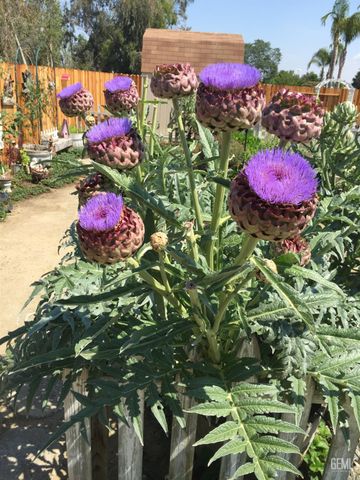 14306 Westdale Drive, Bakersfield, CA 93314