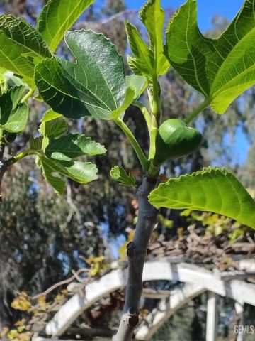 14306 Westdale Drive, Bakersfield, CA 93314