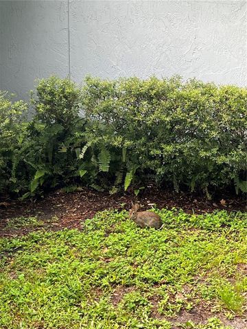 1244 CREEK WOODS CIRCLE, St Cloud, FL 34772