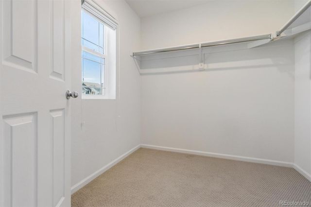 399 Courtfield Way, Castle Rock, CO 80108