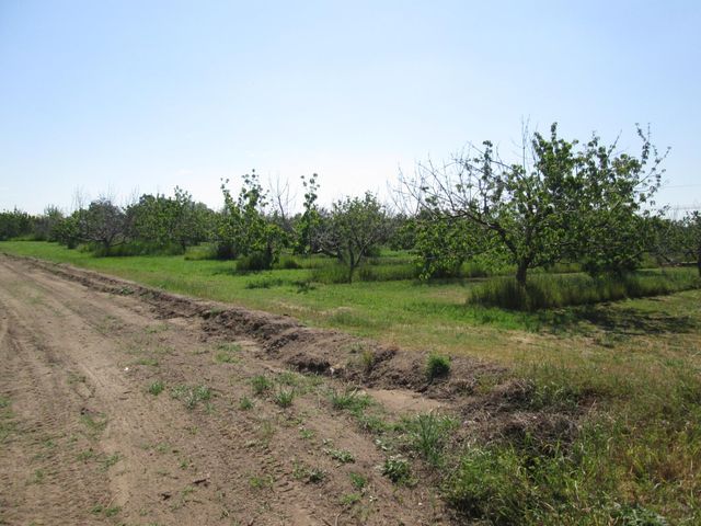 23873 State Highway 120, Escalon, CA 95320