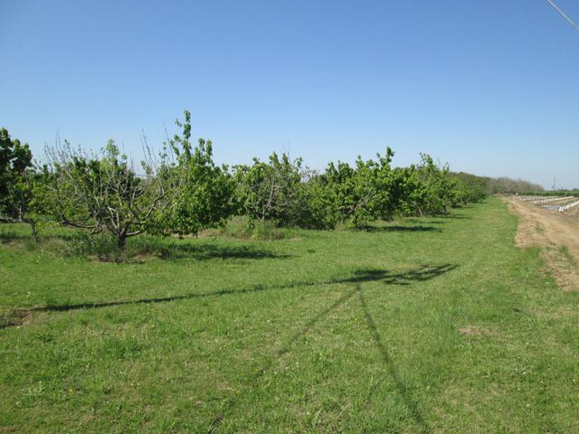 23873 State Highway 120, Escalon, CA 95320