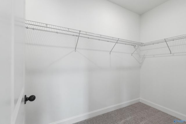 29061 Crawfish Drive, Harvest, AL 35749