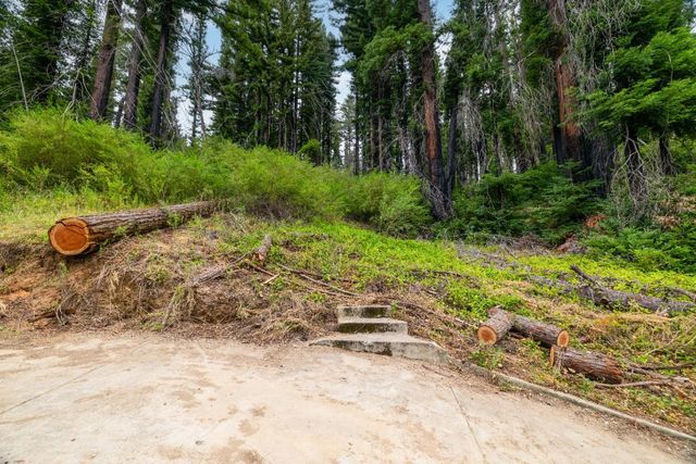 1131 Rambling Road, Boulder Creek, CA 95006