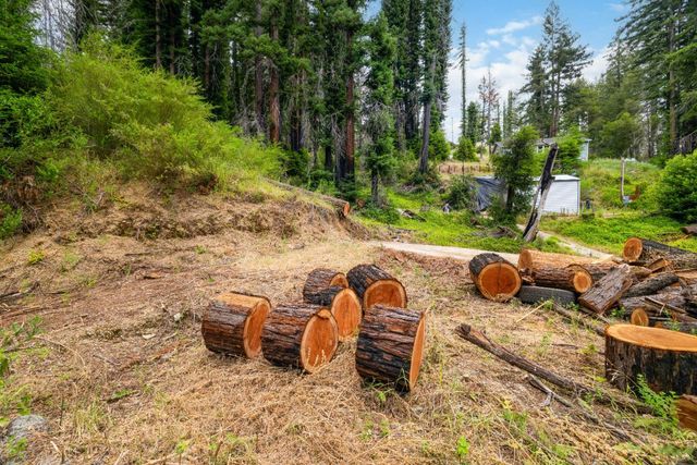 1131 Rambling Road, Boulder Creek, CA 95006