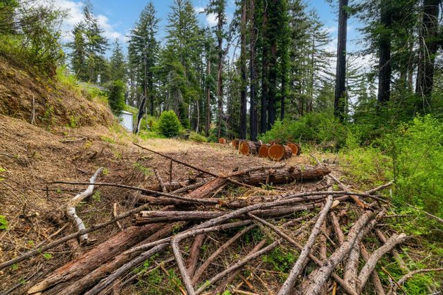 1131 Rambling Road, Boulder Creek, CA 95006