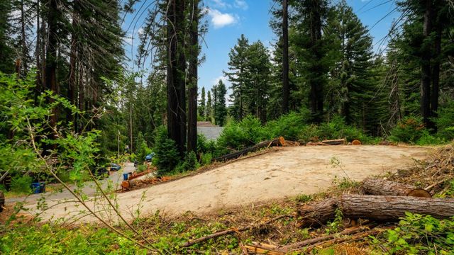 1131 Rambling Road, Boulder Creek, CA 95006