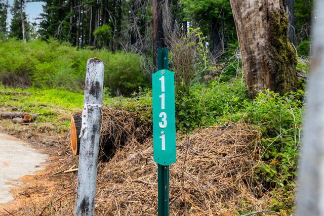 1131 Rambling Road, Boulder Creek, CA 95006