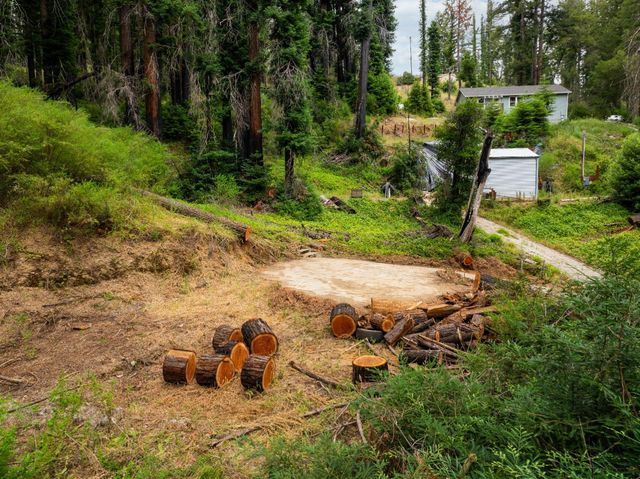 1131 Rambling Road, Boulder Creek, CA 95006