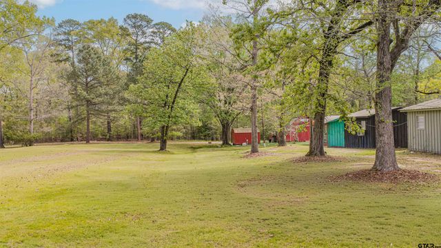 8880 FM 729, Avinger, TX 75630