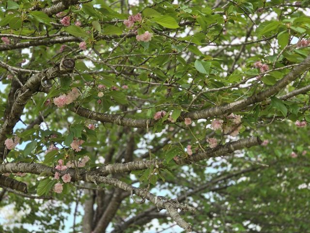 414 Pacific Ave, Oak Grove, KY 42262