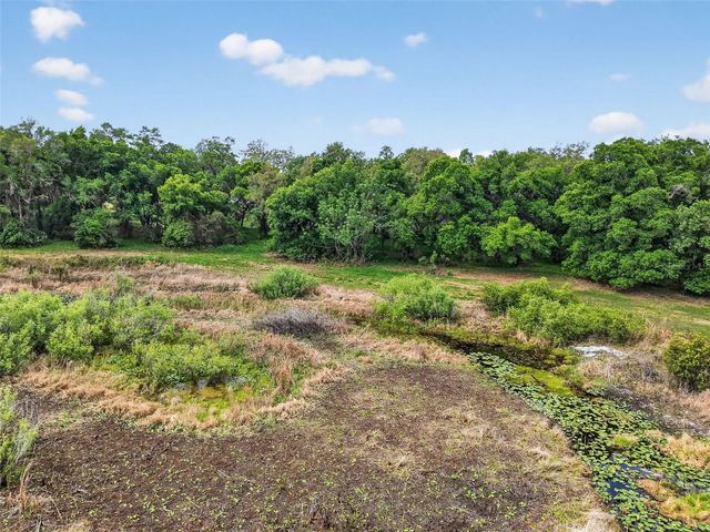 COUNTY LINE ROAD, Umatilla, FL 32784