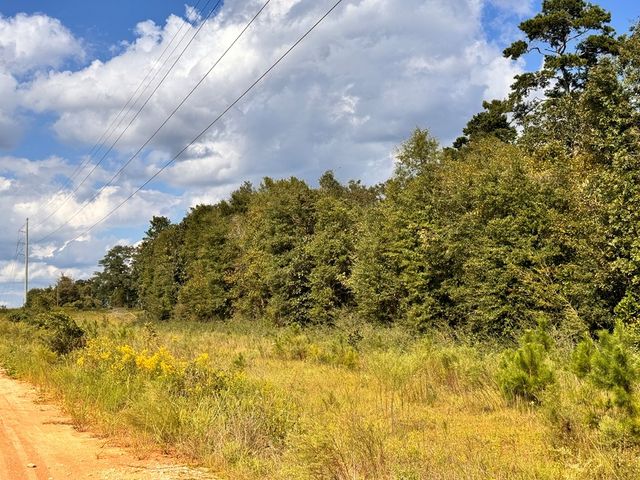 0 Hwy 123 & Co Rd 30, Newton, AL 36352