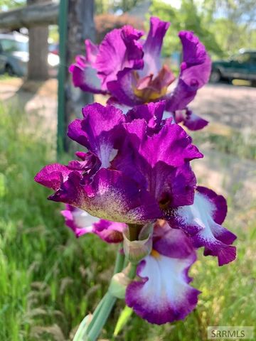 709 Johnson Street, Pocatello, ID 83204