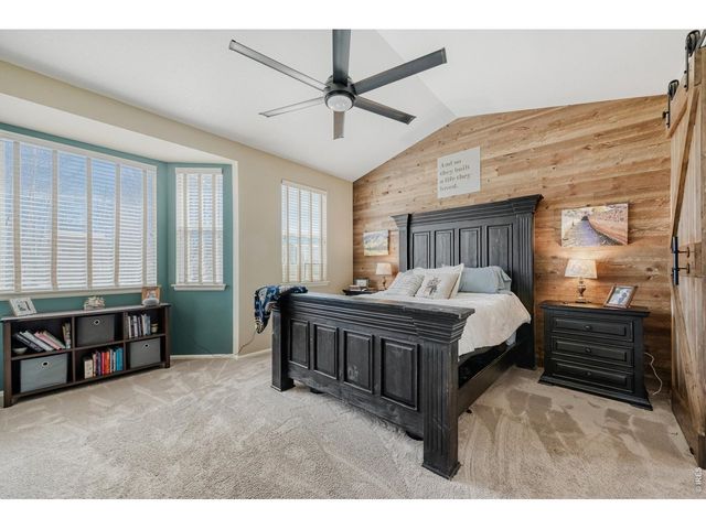 101 Siesta Key Ct, Windsor, CO 80550