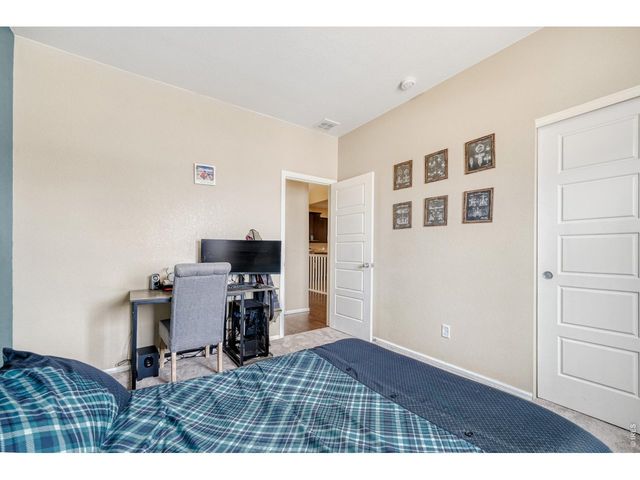 101 Siesta Key Ct, Windsor, CO 80550