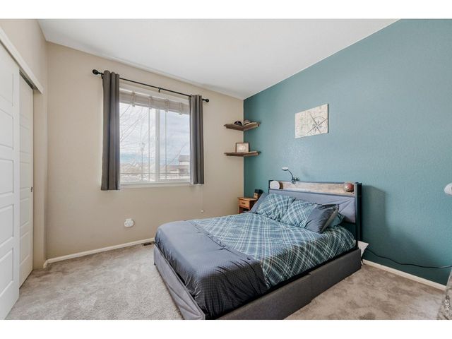 101 Siesta Key Ct, Windsor, CO 80550