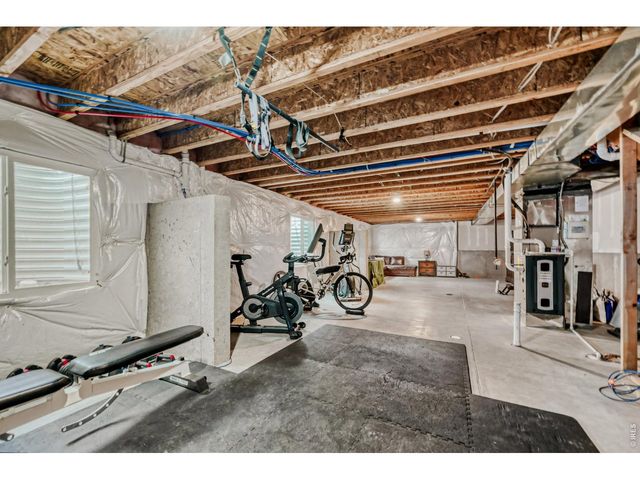 101 Siesta Key Ct, Windsor, CO 80550