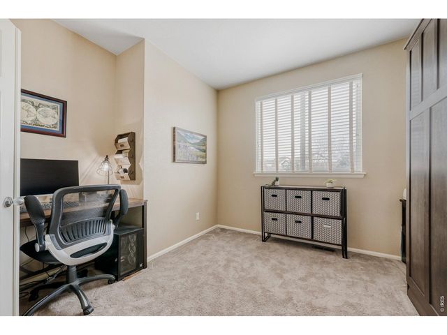 101 Siesta Key Ct, Windsor, CO 80550