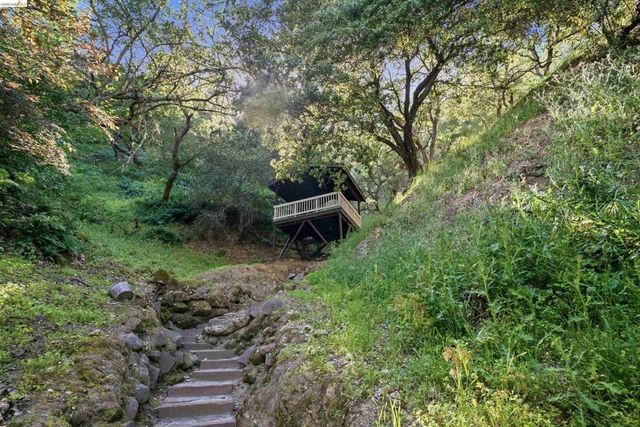 1624 Campesino Ct, Alamo, CA 94507