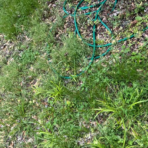 2621 N Tacoma Avenue, Indianapolis, IN 46218