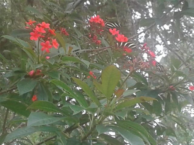 KACHER ROAD, North Port, FL 34288