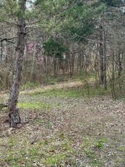 000 Iowa Colony Road, Hollister, MO 65672