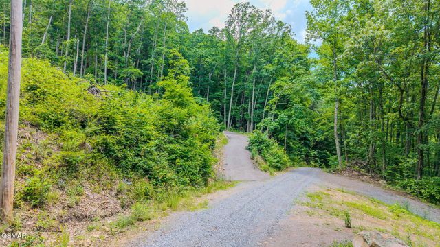 1038 Clingmans View, Sevierville, TN 37876