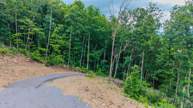 1038 Clingmans View, Sevierville, TN 37876
