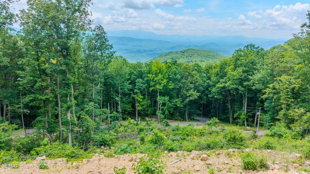1038 Clingmans View, Sevierville, TN 37876