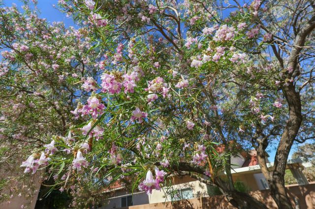 10016 Rio Canon Avenue SW, Albuquerque, NM 87121