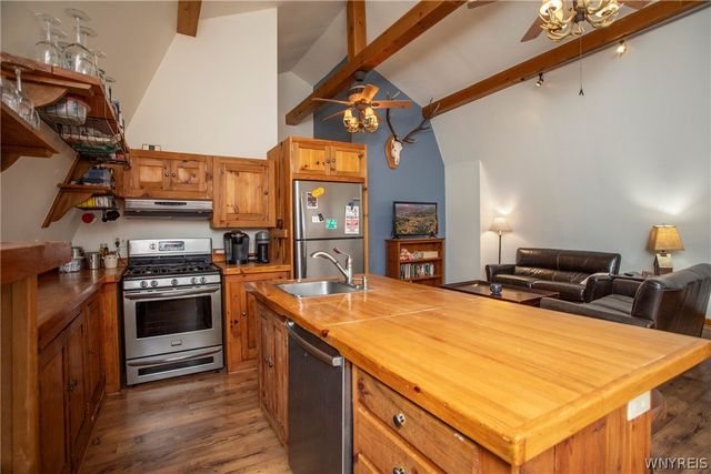 13 Parkside Drive, Ellicottville, NY 14731