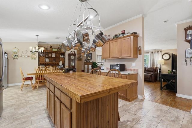 33906 CODDLE COURT, Wesley Chapel, FL 33543