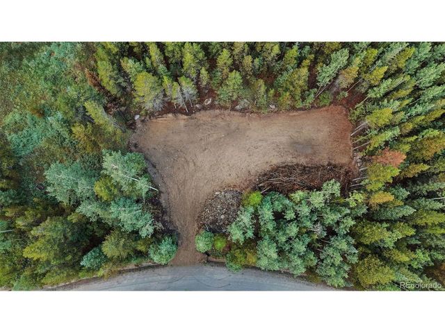 162 Aspen Loop Rd, Idaho Springs, CO 80452