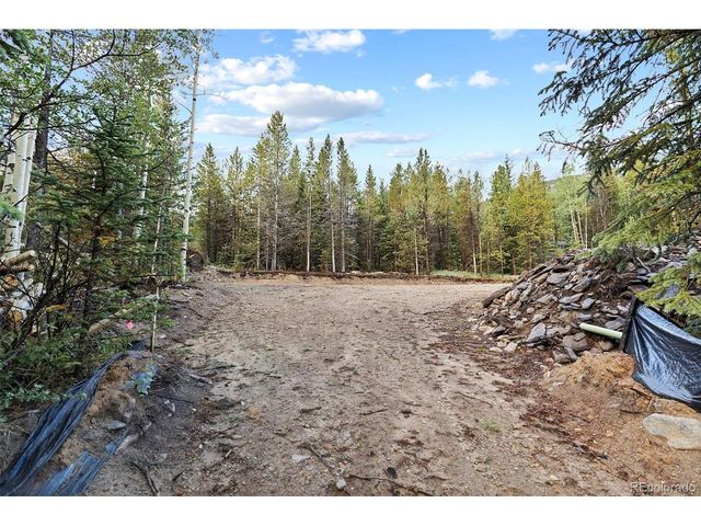 162 Aspen Loop Rd, Idaho Springs, CO 80452