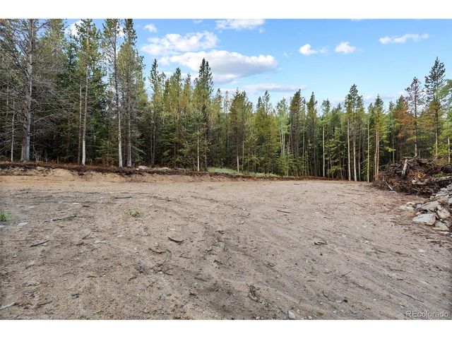 162 Aspen Loop Rd, Idaho Springs, CO 80452