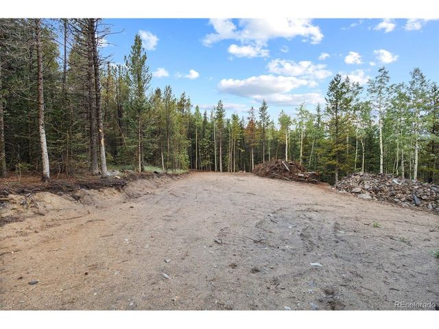 162 Aspen Loop Rd, Idaho Springs, CO 80452