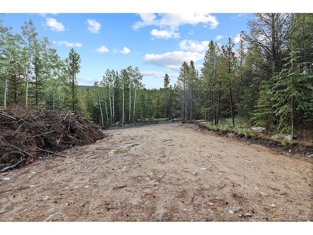 162 Aspen Loop Rd, Idaho Springs, CO 80452