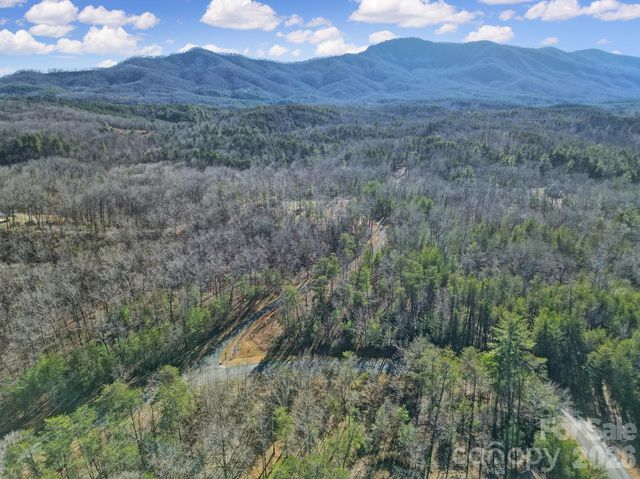 Lot 19 Ostin Creek Trail 19, Mill Spring, NC 28756