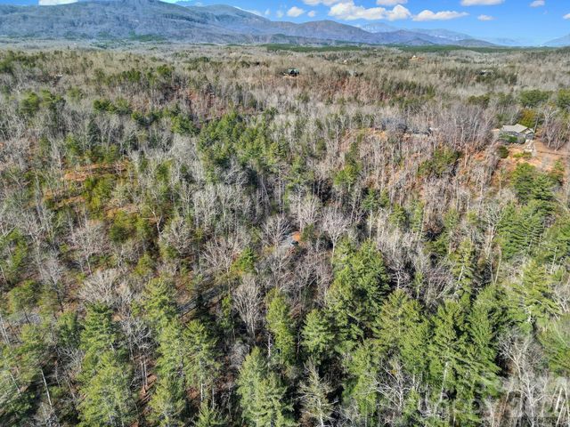 Lot 19 Ostin Creek Trail 19, Mill Spring, NC 28756